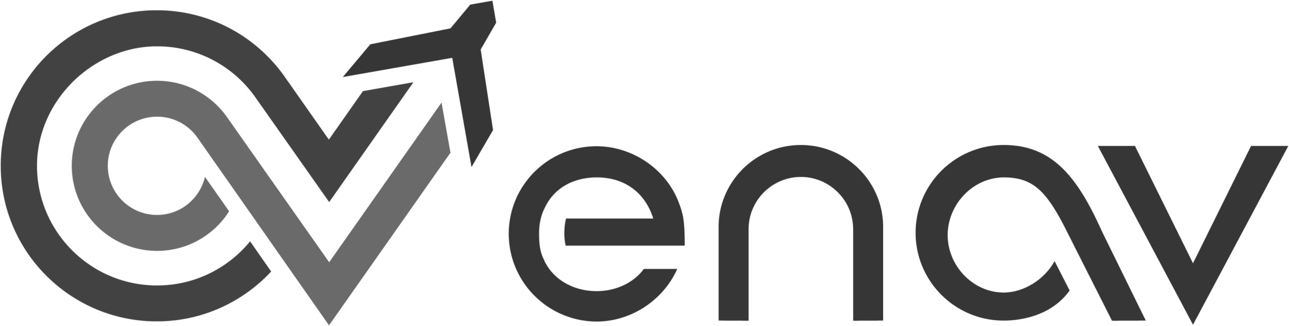 Logo enav