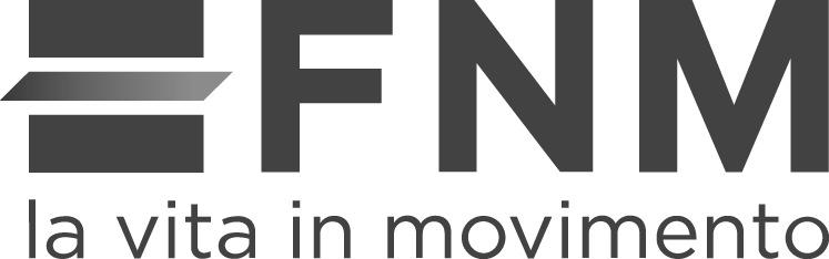 Logo fnm